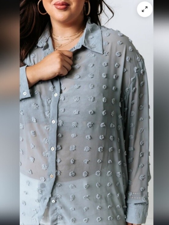 Impressions Tops - Impressions Light Blue Swiss Dot Button-Down Shirt